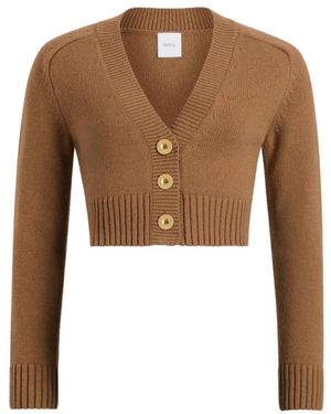 Patou Truien & Vesten ,Bruin ,Wol V-Hals Cardigan