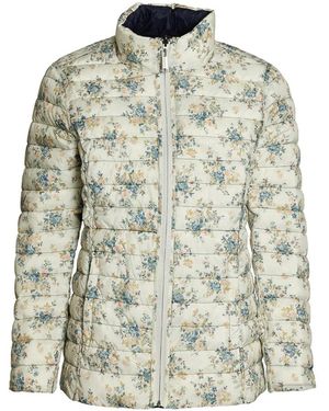 Danwear Winter Jackets - Green