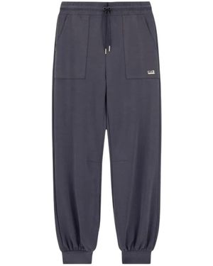EA7 Broeken ,Grijs ,Polyester Trainingsbroeken - Blauw