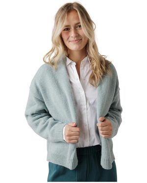 DRYKORN Cardigans - Blauw