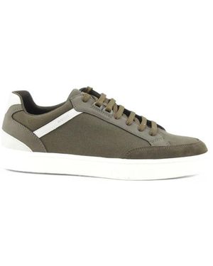 Geox Sneakers - Vert