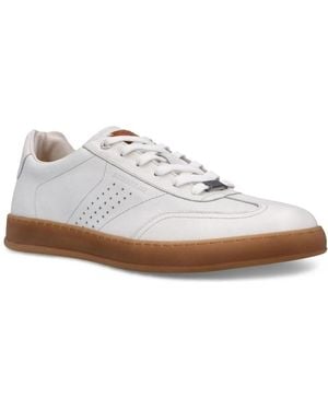 Salamander Trainers - White