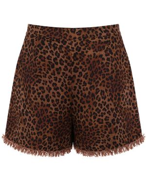 MC2 Saint Barth Short Shorts - Brown