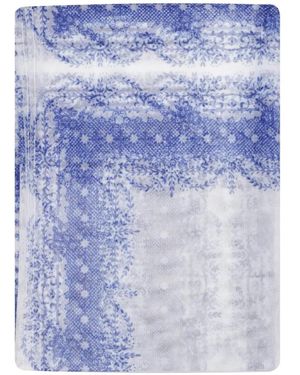 Philosophy Di Lorenzo Serafini Winter Scarves - Azul