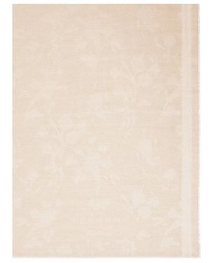 Weekend by Maxmara Winter Scarves - Neutro