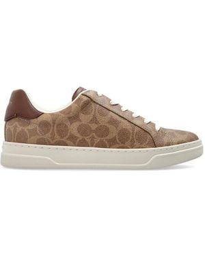 COACH Sneakers - Braun