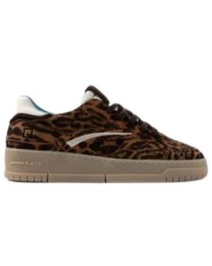 Date Sneakers - Marrón