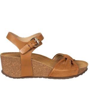 Geox Wedges - Marron