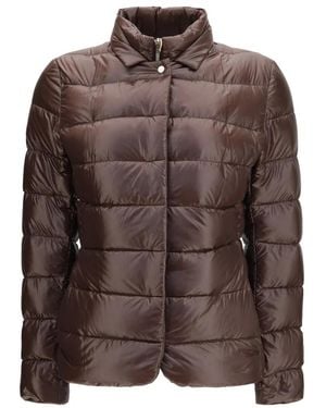 Herno Down Jackets - Marrone