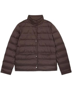 Oltre Winter Jackets - Bruin