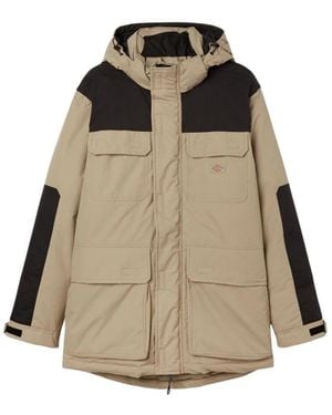 Dickies Winter Jackets - Brown