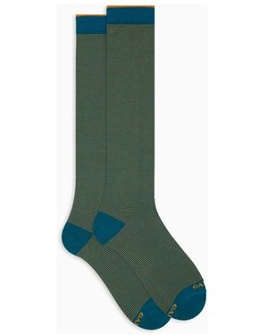 Gallo Socks - Verde
