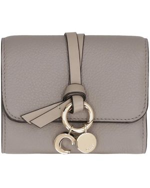 Chloé Wallets & Cardholders - Grey
