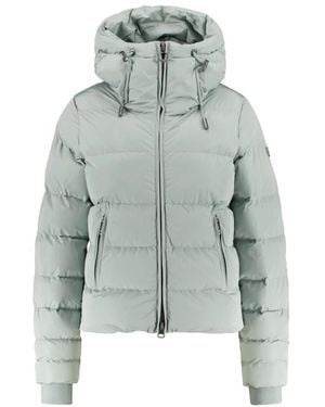 Wellensteyn Winter Jackets - Verde
