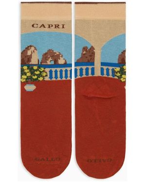 Gallo Kurze baumwollsocken - Mehrfarbig
