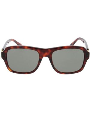 Fred Sunglasses - Marrón
