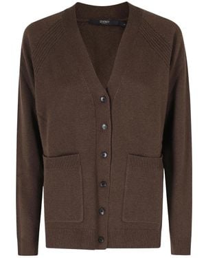 Seventy V-Hals Vest - Bruin