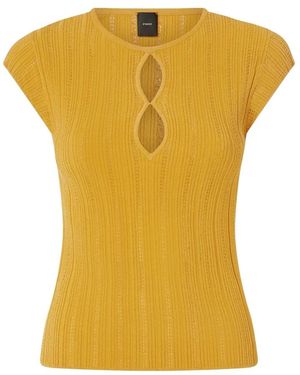 Pinko Round-Neck Knitwear - Yellow