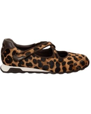 Ash Sneakers - Marrone