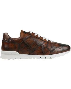 Kiton Trainers - Brown