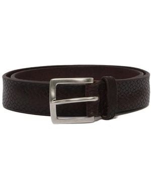 Orciani Belts - Negro