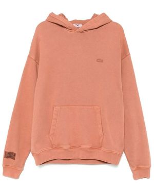 Lacoste Hoodies - Pink