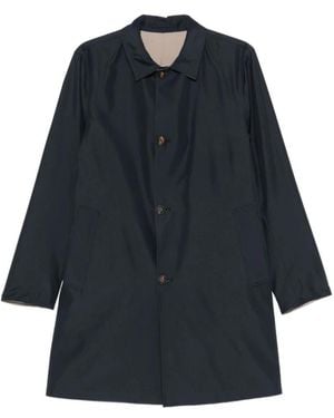 KIRED Parkas - Blue