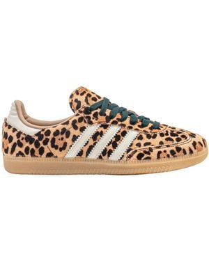 adidas Sport Shoes - Marrone