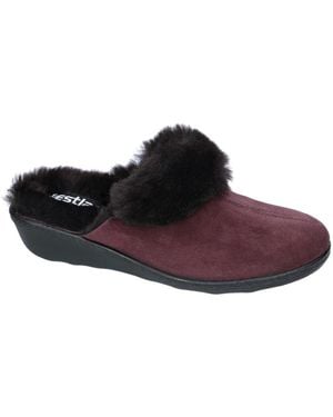 Westland Avignon 306 Slipper - Braun