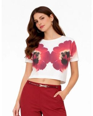 High Waterfall T-Shirt - Rood