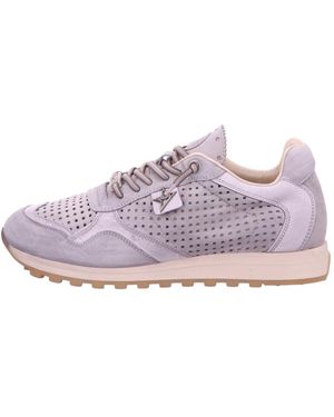 Cetti Sneakers - Paars