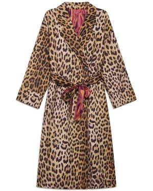 Maliparmi Bordeaux Viola Jas - Bruin