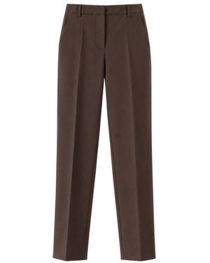 Jucca Straight Leg Hose - Braun