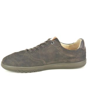 Floris Van Bommel Sneaker N. Dunnez - Braun