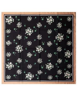 Dolce & Gabbana Floral Printed Scarf - Schwarz
