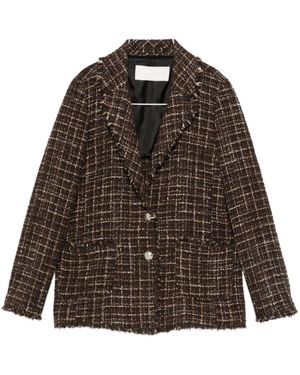 iBlues Blazers - Brown
