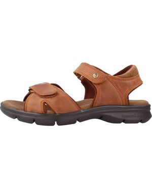 Panama Jack Flat Sandals - Marrone