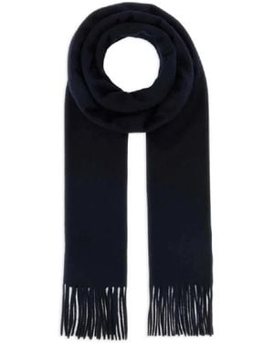 Max Mara Winter Scarves - Blue