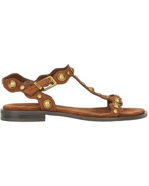 Ash Flat Sandals - Brown