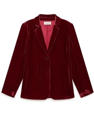 Maliparmi Blazers - Red