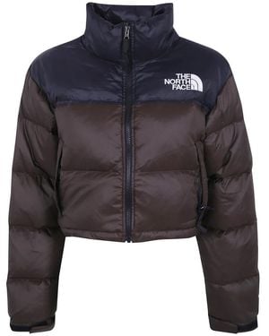 The North Face Fitness ,Bruin ,Leer Nuptse Short Jacket - Blauw