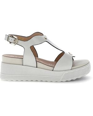 Stonefly Wedges - Metallic