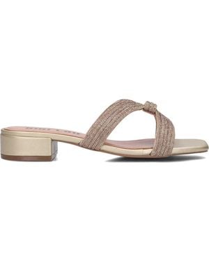 Bibi Lou Heeled Mules - Yellow