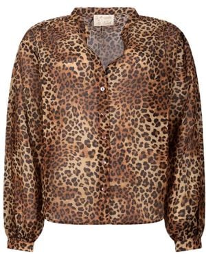 MC2 Saint Barth Shirts - Brown