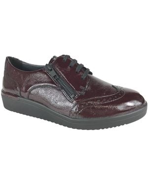 SOLIDUS Sneakers - Marron