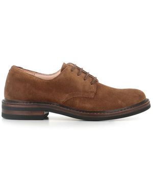 Astorflex Laced Shoes - Brown