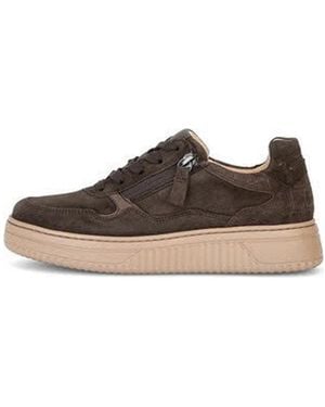 Gabor Sneaker Low - Braun