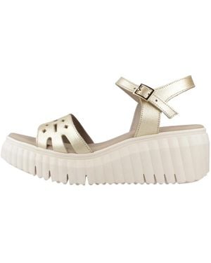 Porronet Wedges - Metálico