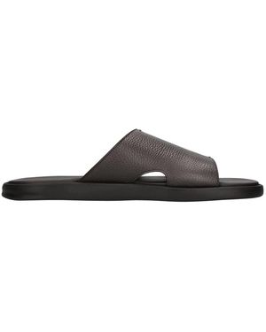 Doucal's Sliders - Negro