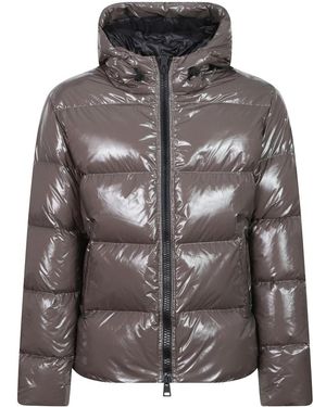 Herno Down Jackets - Grey